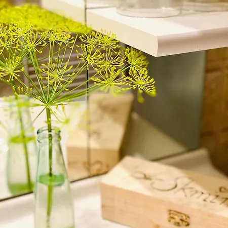 Apartamento Sabine - Pr' Skminc