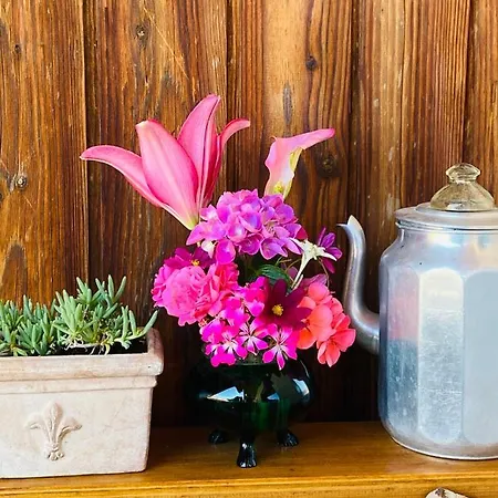 Sabine - Pr' Skminc * Bohinjska Bela