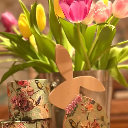 Sabine - Pr' Skminc דירה בוהינסקה בלה