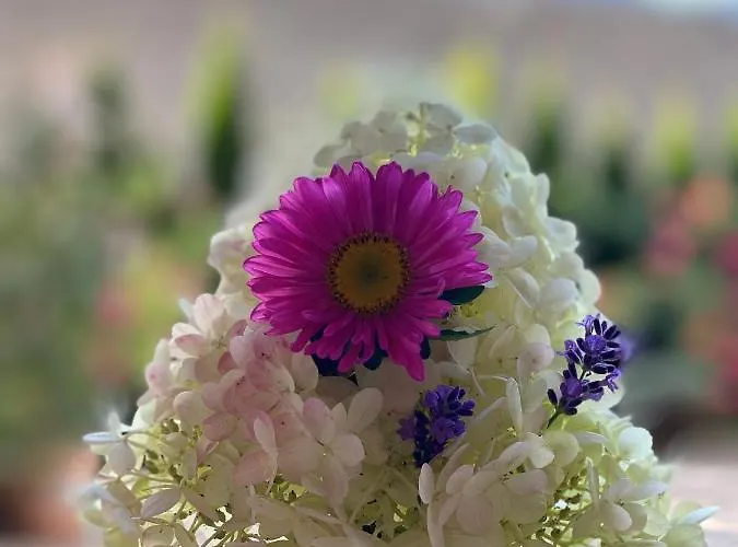 Sabine - Pr' Skminc Apartament Bohinjska Bela