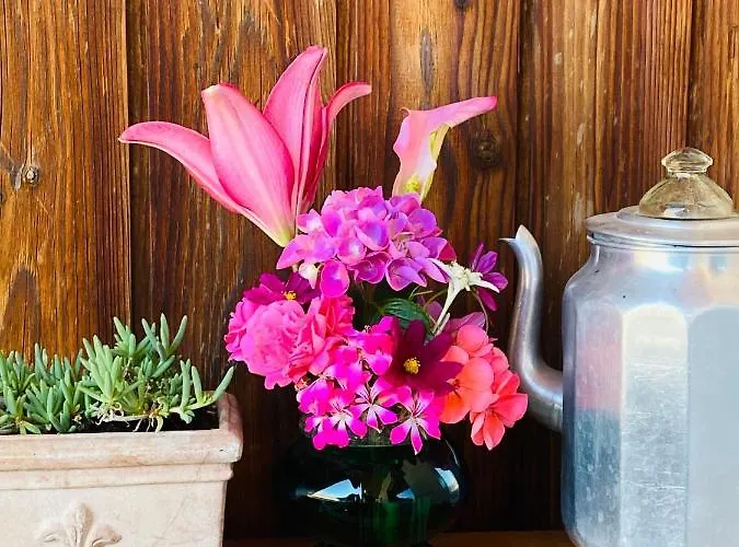 Sabine - Pr' Skminc * Bohinjska Bela